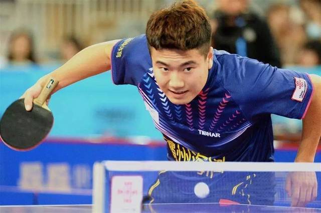 他们引入了 他们引入了