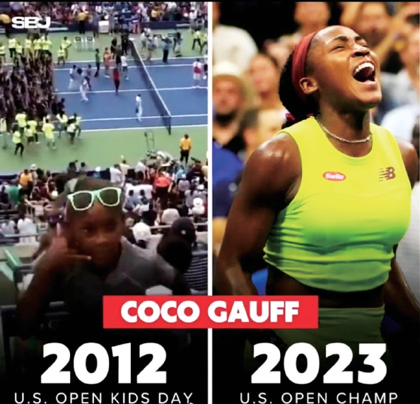 会押注的稀 会押注的稀